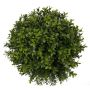 Artificial Boxwood ball TOM, wooden core, Ø 12"/30cm