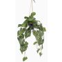Artificial anthurium hanging basket URCO, decorative pot, green, 31"/80cm