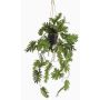 Decorative Philodendron Selloum hanging basket URCO, decorative pot, 31"/80cm