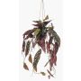 Artificial polka dot begonia hanging basket URCO, decorative pot, green-white, 31"/80cm