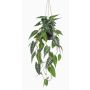 Decorative Alocasia Sanderiana hanging basket URCO, decorative pot, green-white, 31"/80cm