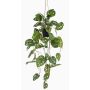 Decorative Philodendron Monstera Deliciosa hanging basket URCO, decorative pot, 31"/80cm