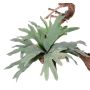 Artificial Staghorn fern TENUK, on spike, green, 16"/40cm, Ø20"/50cm