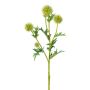 Artificial branch Globe thistle LUNVEN, green, 28"/70cm