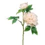 Artificial flower Peony FRILT, champagne, 22"/55cm