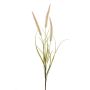 Decorative foxtail branch TALOR with panicles, pink-green, 33"/85cm