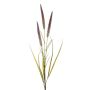 Decorative foxtail branch TALOR with panicles, brown-green, 33"/85cm