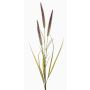 Decorative foxtail branch TALOR with panicles, brown-green, 33"/85cm