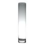 Cylindrical flower vase SANSA EARTH, transparent, 12"/30cm, Ø2.4"/6cm