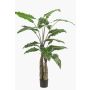 Artificial Alocasia Sanderiana ALBULA, green, 5ft/150cm