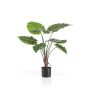 Artificial Alocasia Calidora FAYOR, green, 28"/70cm