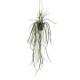 Decorative rhipsalis hanging basket JEXIA, decorative pot, green, 33"/85cm