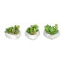Artificial arrangement of succulents SORIPI, 3 pieces, cement bowl in the shape of a heart, green-pink, 2.8"/7cm