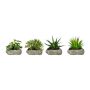 Artificial arrangement of succulents TASTIKE in polyresin pot, 4 pieces, green, 4.7"-6"/12-15cm