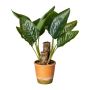 Artificial plant Canna indica NEXAR in decorative pot, green, 18"/45cm
