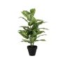 Artificial Dieffenbachia ELSAWA in decorative pot, green, 26"/65cm