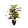 Artificial croton plant ISKANDAR in decorative pot, multicoloured, 26"/65cm