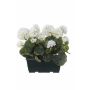 FLOREANA artificial geraniums in a window box, 2 pieces, white, 24x11x35cm
