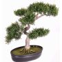 Plastic Bonsai Cedar JARNO, aerial roots, decorative planter, 16"/40cm