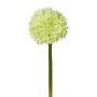 Decorative flower Allium WANDENY, cream-green, 26"/65cm