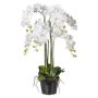Artificial Phalaenopsis orchid LOPASY, roots, white, 3ft/90cm