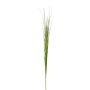 Decorative branch Bulrush VORLO, green, 33"/85cm