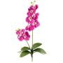 Artificial Phalaenopsis orchid MORLEK, spike, roots, fuchsia, 24"/60cm