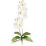Artificial Phalaenopsis orchid MORLEK, spike, roots, cream, 24"/60cm