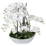 Artificial arrangement of orchid and corkscrew willow TANIN, ceramic bowl, roots, white, 28"/70cm