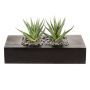 Artificial succulent Aloe variegata FRONZ in wooden box, green-white, 9"x4.3"x5.5"/24x11x14cm