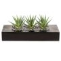 Artificial succulent Aloe variegata FRONZ in wooden box, green-white, 14"x6"x6"/36x15,5x16cm