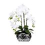 Plastic flower Phalaenopsis orchid SINKA in silvery decorative pot, white, 22"/55cm