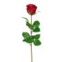 Decorative flower Rose NORLAN, red, 28"/70cm