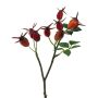 Decorative branch Dog rose BRULFI with rose hips, orange, 10"/25cm