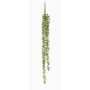 Decorative succulent Senecio hanging plant PURUS, spike, green, 24"/60cm