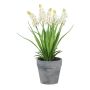 Artificial flower Grape hyacinth ZORKLEM in decorative pot, white, 9"/22cm