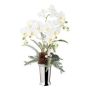 Artificial flower arrangement of orchid and fern BALSI, ceramic vase, cone, berries, snow-covered, white, 28"/70cm