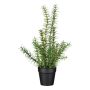 Artificial Rosemary VENTALI in decorative pot, green, 16"/40cm