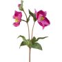 Artificial flower branch Christmas rose IRAFESA, fuchsia, 16"/40cm