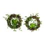 Artificial wreath Muehlenbeckia MEVRO, 2 pieces, succulent, green, Ø3.1"/8cm