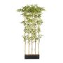 Artificial umbrella bamboo room divider PUNEH in wooden box, crossdoor, natural stems, 3ftx20"x5ft/90x50x160cm