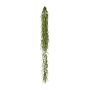 Artificial succulent Hoya linearis NERTIN, root ball, green, 4ft/120cm