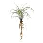 Artificial succulent Tillandsia stricta SNELDON with roots, green, 9"/22cm