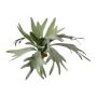 Artificial plant: staghorn fern SLUHAR, stake, green, 14"/35cm