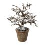 Artificial beech tree BONKA, bare, snow-covered, decorative pot, white-brown, 9"/24cm