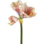 Decorative flower Amaryllis BELAV, pink-cream-green, 28"/70cm, Ø2"-5.1"/5-13cm