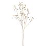 Decorative branch Japanese rose BLINTO with rose hips, metallic gold, 4ft/135cm