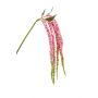 Plastic Amaranthus branch NOHOL with flowers, magenta-pink, 3ft/95cm