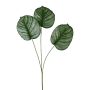 Decorative branch Calathea orbifolia PLERIN, green-white, 28"/70cm