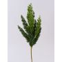 Decorative juniper branch STURNYN, green, 50cm